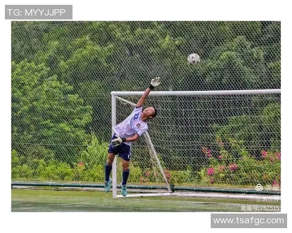 五邑足球明星的崛起与成就探讨以及他们对足球发展的影响 五邑足球明星的崛起与成就探讨以及他们对足球发展的影响