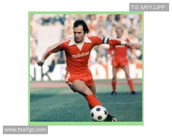 足球明星传奇之路揭秘纪录片封面展现辉煌与奋斗的故事