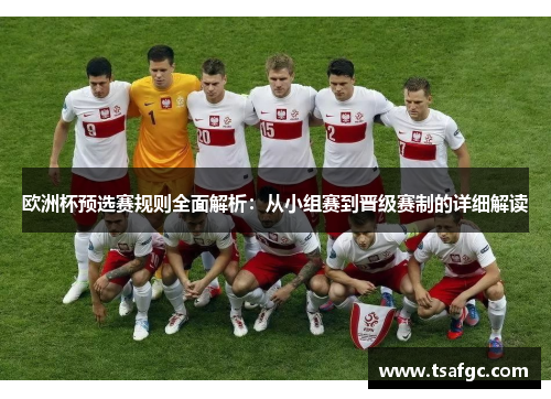 欧洲杯预选赛规则全面解析：从小组赛到晋级赛制的详细解读