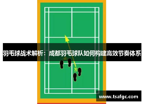 羽毛球战术解析：成都羽毛球队如何构建高效节奏体系