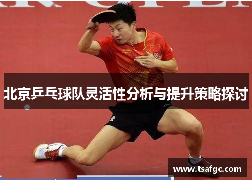 北京乒乓球队灵活性分析与提升策略探讨
