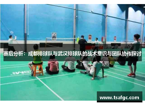 赛后分析：成都排球队与武汉排球队的战术意识与团队协作探讨