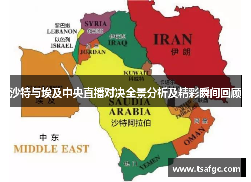 沙特与埃及中央直播对决全景分析及精彩瞬间回顾