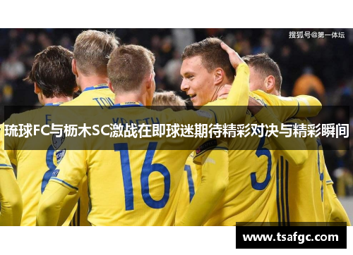 琉球FC与枥木SC激战在即球迷期待精彩对决与精彩瞬间
